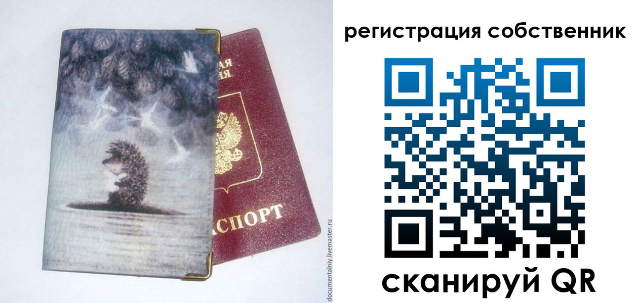 регистрация в Читинской области